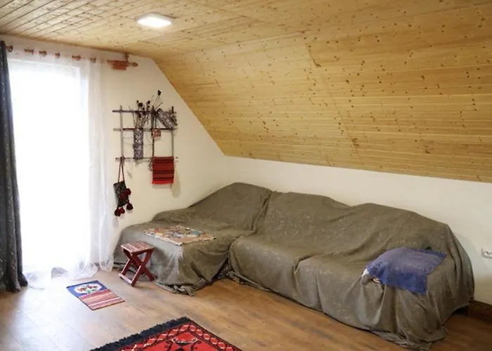 Dinara فيلة Krcedin